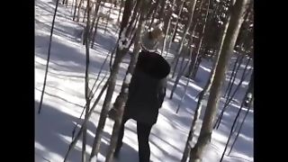 Frightened Canadian Chick Lost In Forest Finds Wood To Suck, Gulps His Maple Syrup